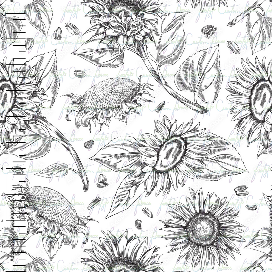 Black and White Sunflowers AS1