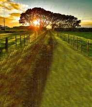 Load image into Gallery viewer, Country Road Sunrise
