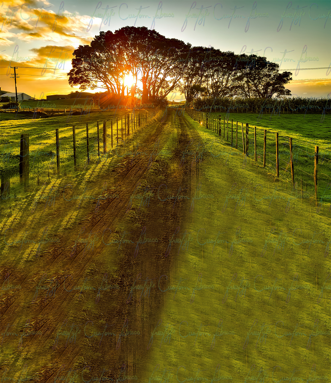 Country Road Sunrise