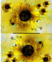Load image into Gallery viewer, Full Sunflowers

