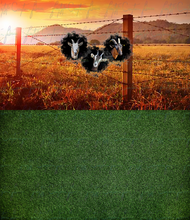 Load image into Gallery viewer, Goats
