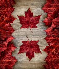 Load image into Gallery viewer, Maple Leaf
