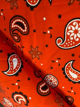 Load image into Gallery viewer, Orange Paisley RETAIL
