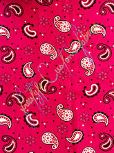 Load image into Gallery viewer, Pink Paisley RETAIL
