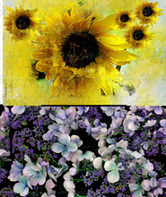 Load image into Gallery viewer, Sunflowers and Hydrangeas
